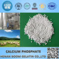 Dicalcium Phosphate Granular (DCP) Feed Grade